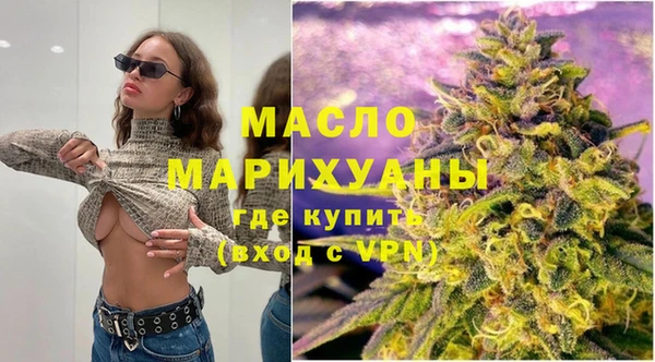 индика Волоколамск