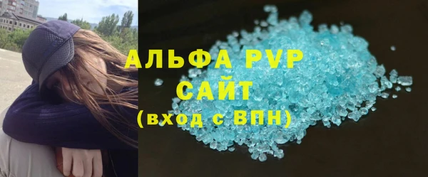 индика Волоколамск