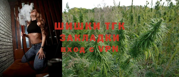 PSILOCYBIN Вязники