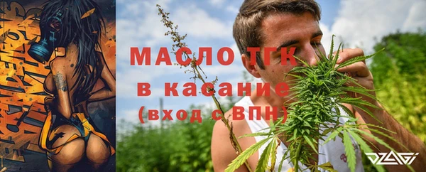 индика Волоколамск