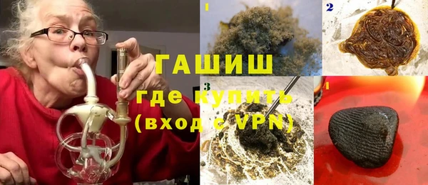 индика Волоколамск