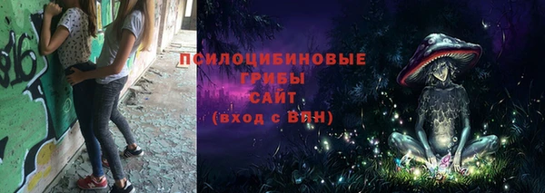 ГАЛЛЮЦИНОГЕННЫЕ ГРИБЫ Володарск