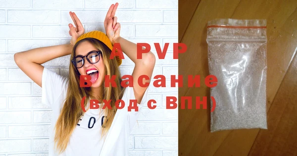 индика Волоколамск