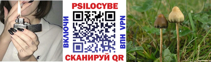 Псилоцибиновые грибы Cubensis  наркота  Заволжье 